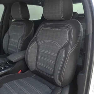 DS DS 5 Koltuk Kılıfı
